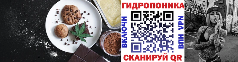 darknet телеграм  Нея  Cannafood конопля 