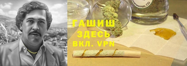 дмт Алзамай