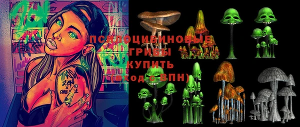 дмт Алзамай