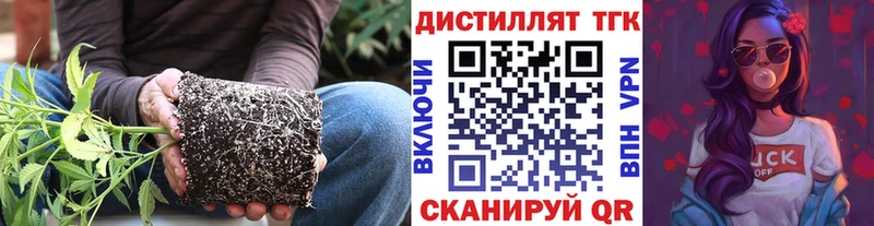МЕГА как войти  Нея  Дистиллят ТГК Wax 