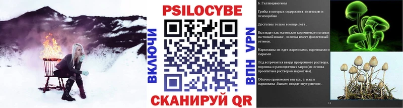 MEGA как войти  Нея  Псилоцибиновые грибы Psilocybe 